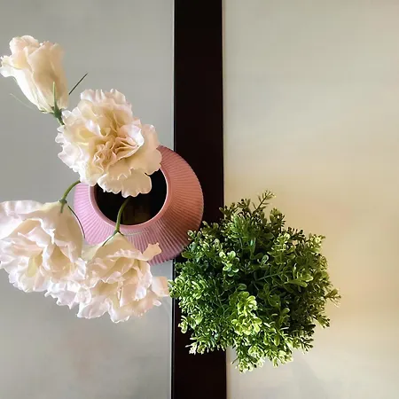 Ks Golf Playa - Kaleria *